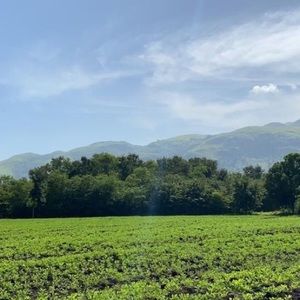 Meet your Posher, Emmanuela